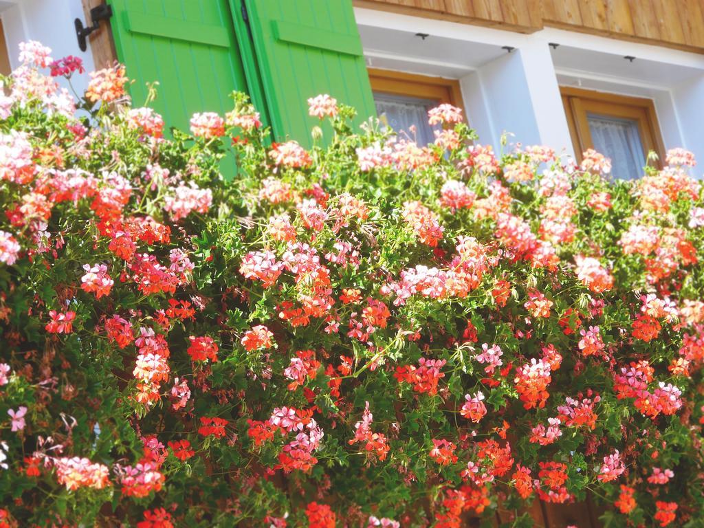 B & B Apartments Ortlerblick سلوديرنو المظهر الخارجي الصورة